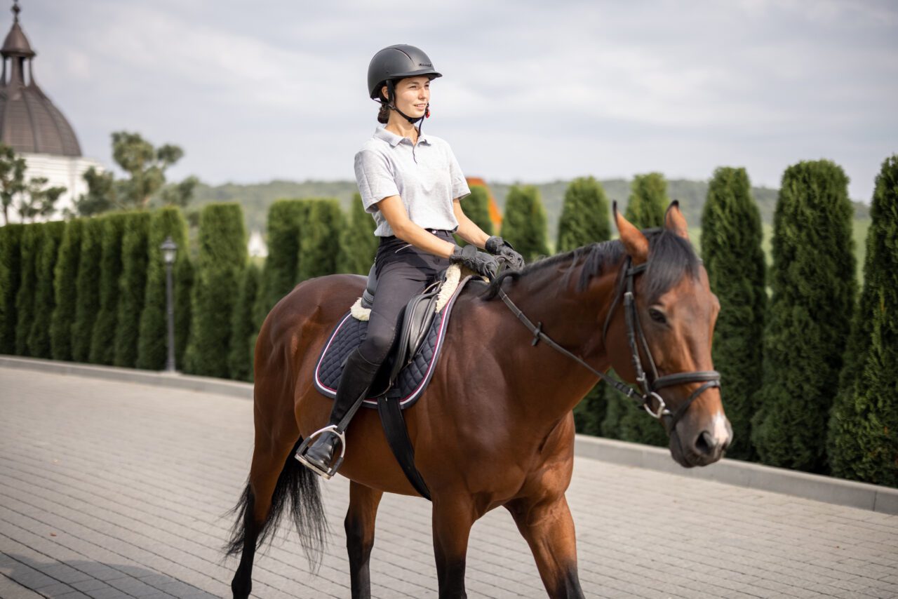 caballo en la pista principal de la asociación
